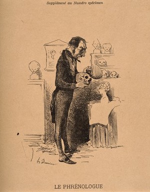 view A phrenologist examines two skulls from his collection. Reproduction of an etching by H. Daumier.