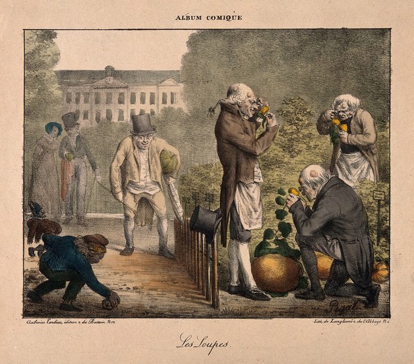 In a garden, men with wens look through magnifying glasses at round flowers. Coloured lithograph by Langlumé after E.J. Pigal, 1823.
