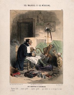 A doctor administers an enema to a dog; other bandaged animals sit nearby. Coloured lithograph by C. Jacque, c. 1843.