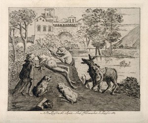 view A sick frog is administered an enema by one of his companions; other frogs, some anthropomorphised, some not, stand by. Etching with drypoint by F-D. Hillemacher after N. Poussin, 1885.