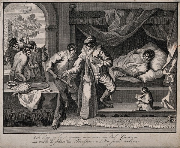 A monkey surgeon prepares to treat a monkey patient with a clyster, the latest French fashion accessory. Line engraving, ca. 1660.