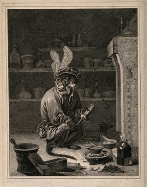 view A monkey holding a clyster in an apothecary's shop. Engraving after D. Teniers the younger.