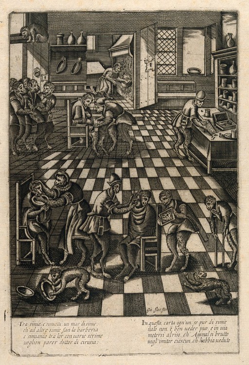 Singerie of a barbershop. Engraving after P. van der Borcht.