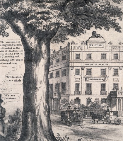 Two trees being cultivated by doctors; symbolising the differences claimed by James Morison between the 'organic' and his 'hygeist' approached to health. Lithograph, c. 1835.