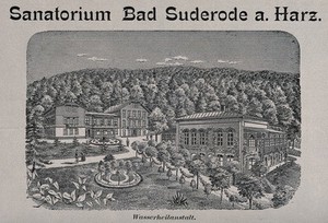 view Mountainous view of Sanatorium Bad Suderode in the Harz mountains, Germany. Reproduction of a drawing.