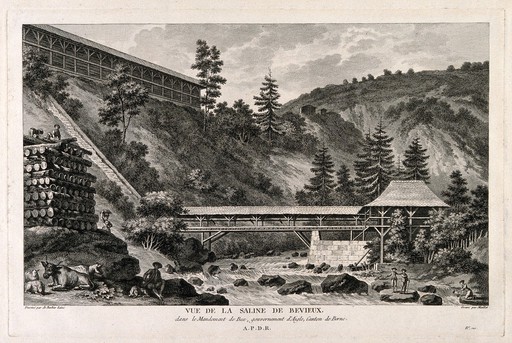 The river running through the salt mines of Bevieux, Bex, Switzerland. Line engraving by J. J. Maillet after Barbier Laine.