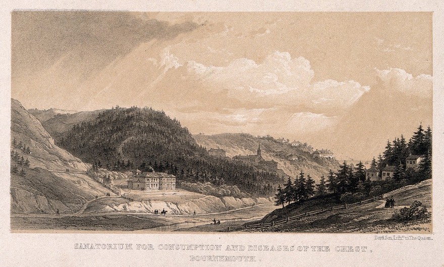 Bournemouth: Sanatorium for consumption and diseases of the chest. Lithograph by Day & Son.