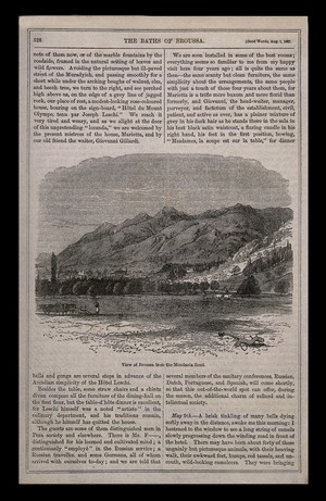 view Panoramic view of Brusa (Broussa) from the Mondania Road, Turkey. Wood engraving, 1867.