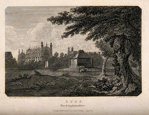 view Eton College as seen from the river and fields, Berkshire. Line engraving by J. Smith, 1801, after E. Dayes.