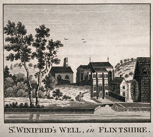 view St. Winifred's Well, Flintshire, Wales. Line engraving.