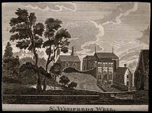 view St. Winifred's Well, Flintshire, Wales. Line engraving.