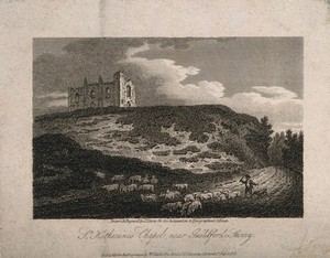 view St. Catherine's Chapel, Artington, Surrey: sheep being herded past the ruins. Line engraving by J. Storer, 1808, after himself.