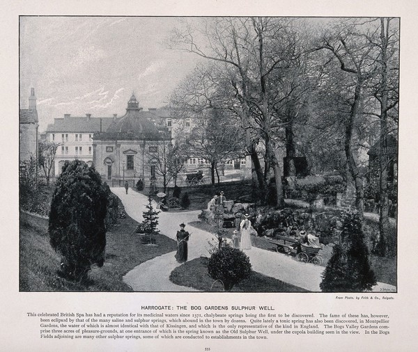 The Bog Gardens Sulphur Well, Harrogate, Yorkshire. Process print by A. Schuler.