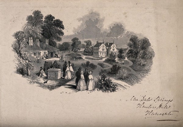 Car Dale Springs, Harrogate, Yorkshire. Wood engraving by Smyth after B.F.