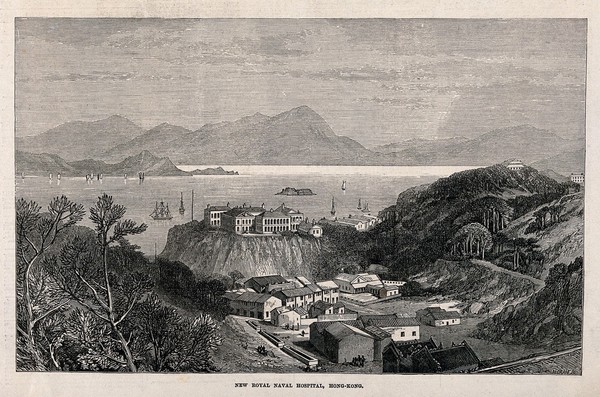 Royal Naval Hospital, Hong Kong: bird's eye view of the hospital and harbour. Wood engraving by H. Crane.