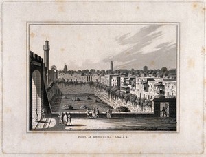 view The pool of Bethesda. Aquatint after L. Mayer.