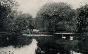 view Royal Botanic Gardens, Kew, Surrey. Process print.