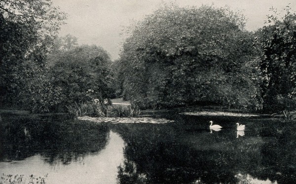 Royal Botanic Gardens, Kew, Surrey. Process print.