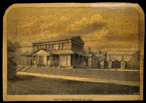 Royal Botanic Gardens, Kew, Surrey: Miss North's museum. Wood engraving by Hill.