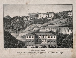 view The Demidoff hospital, Lucca, in the foreground, with other buildings beyond. Lithograph by Ridolfi after Alfred.