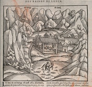 view The Baths of Leuk, Switzerland. Woodcut.