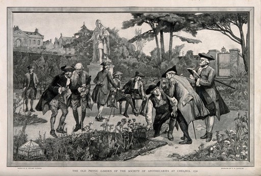 The Physic Garden, Chelsea: men botanizing in the garden, near the statue of Sir Hans Sloane, 1750. Wood engraving by T. W. Lascelles after H. G. Glindoni, 1890.
