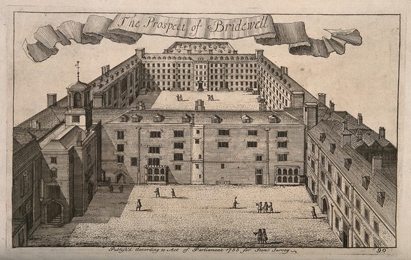 Bridewell Hospital: an aerial view.