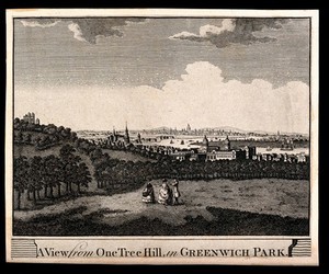 view London, seen from Greenwich. Engraving.