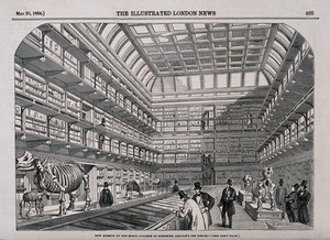 view The Royal College of Surgeons, Lincoln's Inn Fields, London: the interior of the museum. Wood engraving after T. R. MacQuoid, 1854.