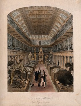 The Royal College of Surgeons, Lincoln's Inn Fields, London: the interior of the Hunterian Museum. Coloured engraving by E. Radclyffe after T. H. Shepherd.