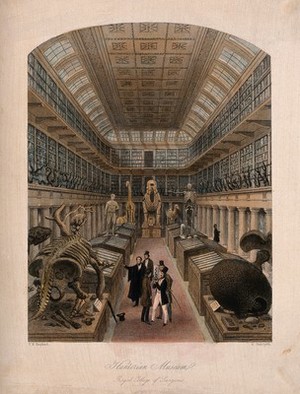 view The Royal College of Surgeons, Lincoln's Inn Fields, London: the interior of the Hunterian Museum. Coloured engraving by E. Radclyffe after T. H. Shepherd.