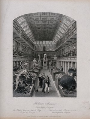 view The Royal College of Surgeons, Lincoln's Inn Fields, London: the interior of the museum. Engraving by E. Radclyffe after T. H. Shepherd.