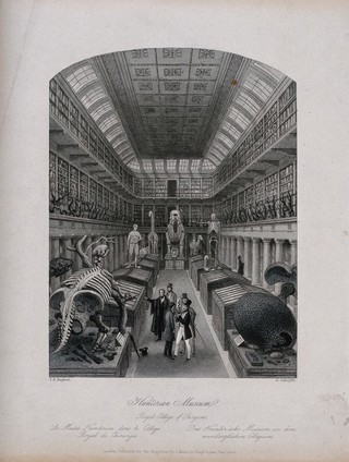 The Royal College of Surgeons, Lincoln's Inn Fields, London: the interior of the museum. Engraving by E. Radclyffe after T. H. Shepherd.