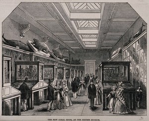 view The British Museum: the Coral Room, with visitors. Wood engraving, 1847.