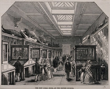 The British Museum: the Coral Room, with visitors. Wood engraving, 1847.