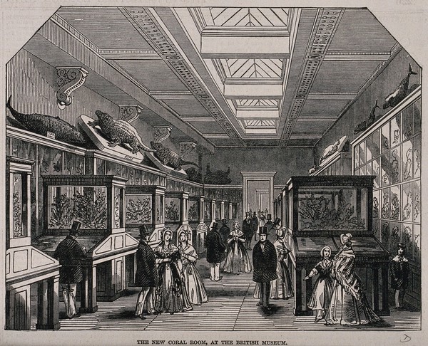 The British Museum: the Coral Room, with visitors. Wood engraving, 1847.