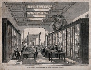 view The British Museum: the Botanical Room, with visitors. Wood engraving, [1858].