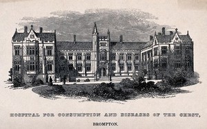 view The Hospital for Consumption, Brompton Road, Fulham: viewed from the road. Wood engraving by O. P. Nicholls after F. W. Hulme.