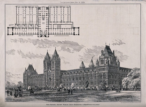 The Natural History Museum, South Kensington: plan, above, and the street elevation, below. Photo-lithograph after M. B. Adams, 1879, after A. Waterhouse.