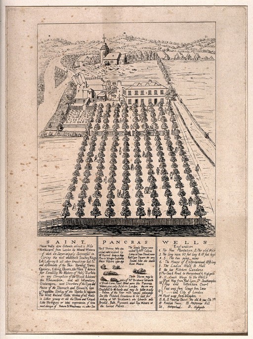 St Pancras Wells, King's Cross, London: aerial view showing the "Plantation", and St Pancras church in the background, with an advertisement and explanation. Engraving.