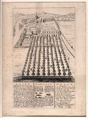 St Pancras Wells, King's Cross, London: aerial view showing the "Plantation", and St Pancras church in the background, with an advertisement and explanation. Engraving.