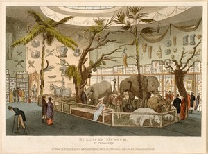 view Bullock's Museum, (Egyptian Hall or London Museum), Piccadilly: the interior. Coloured aquatint, 1810.