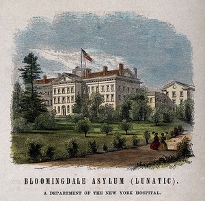 view Bloomingdale Asylum, New York. Coloured wood engraving.