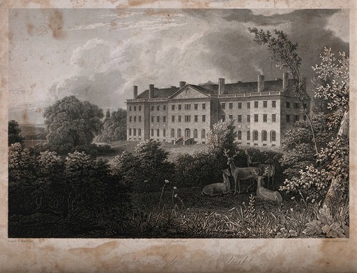 Eastern Dispensary, Essex and Grand, New York. Coloured wood engraving by N. Orr. Co.