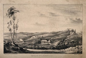 view Beulah Spa, Norwood, Surrey. Lithograph by A. Harrison after himself.