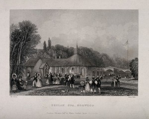 view Beulah Spa, Norwood, Surrey. Line engraving by H. Wallis after J. Salmon.