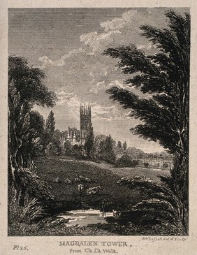 Magdalen College, Oxford: the Tower as seen from the countryside. Etching by J. Whessell.