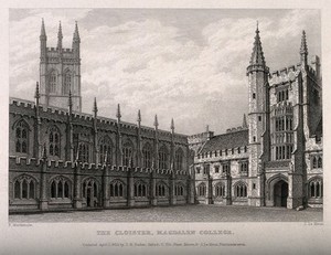 view Magdalen College, Oxford: cloisters. Line engraving by J. Le Keux, 1833, F. Mackenzie.