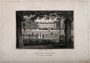 view Merton College, Oxford: panoramic view from Christ Church walk. Line engraving by J. & H.S. Storer.