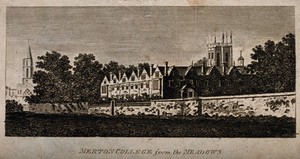 view Merton College, Oxford: from the meadows. Line engraving.